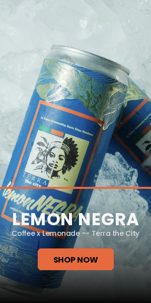 Terra the City -- Lemon Negra coffee lemonade